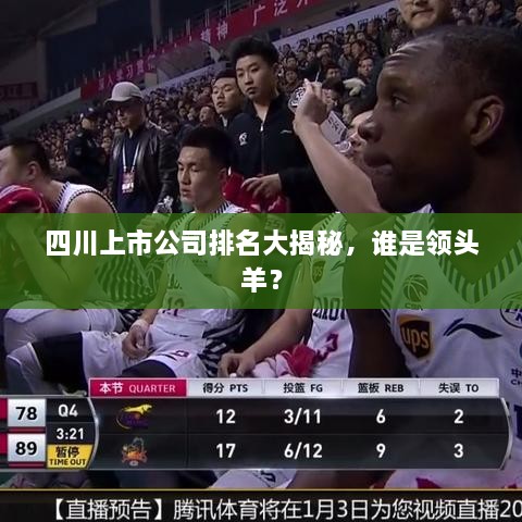 四川上市公司排名大揭秘，誰(shuí)是領(lǐng)頭羊？