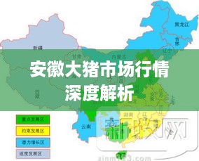 安徽大豬市場(chǎng)行情深度解析