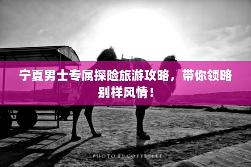 寧夏男士專(zhuān)屬探險旅游攻略，帶你領(lǐng)略別樣風(fēng)情！