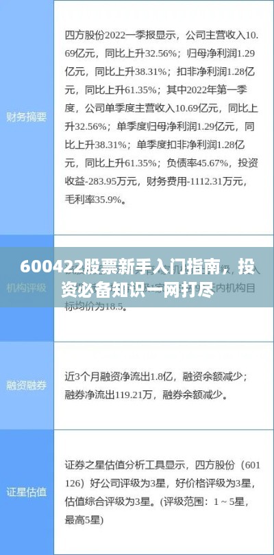 600422股票新手入門(mén)指南，投資必備知識一網(wǎng)打盡